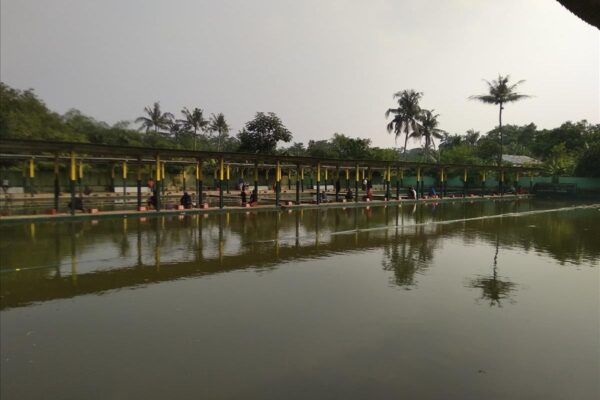 Mulai Bisnis Kolam Pemancingan: Peluang dan Tips Sukses