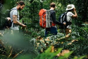 Petualangan di hutan