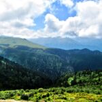 Pesona Dataran Tinggi: Negeri di Atas Awan yang Penuh Cerita