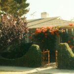 Desain Pintu Masuk Rumah dengan Pencahayaan Kreatif yang Memikat