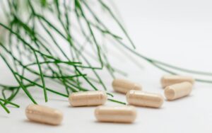 Probiotik