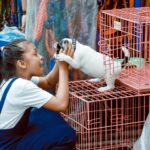 Adopsi Hewan Peliharaan yang Bawa Kebahagiaan untuk Owner serta Hewan